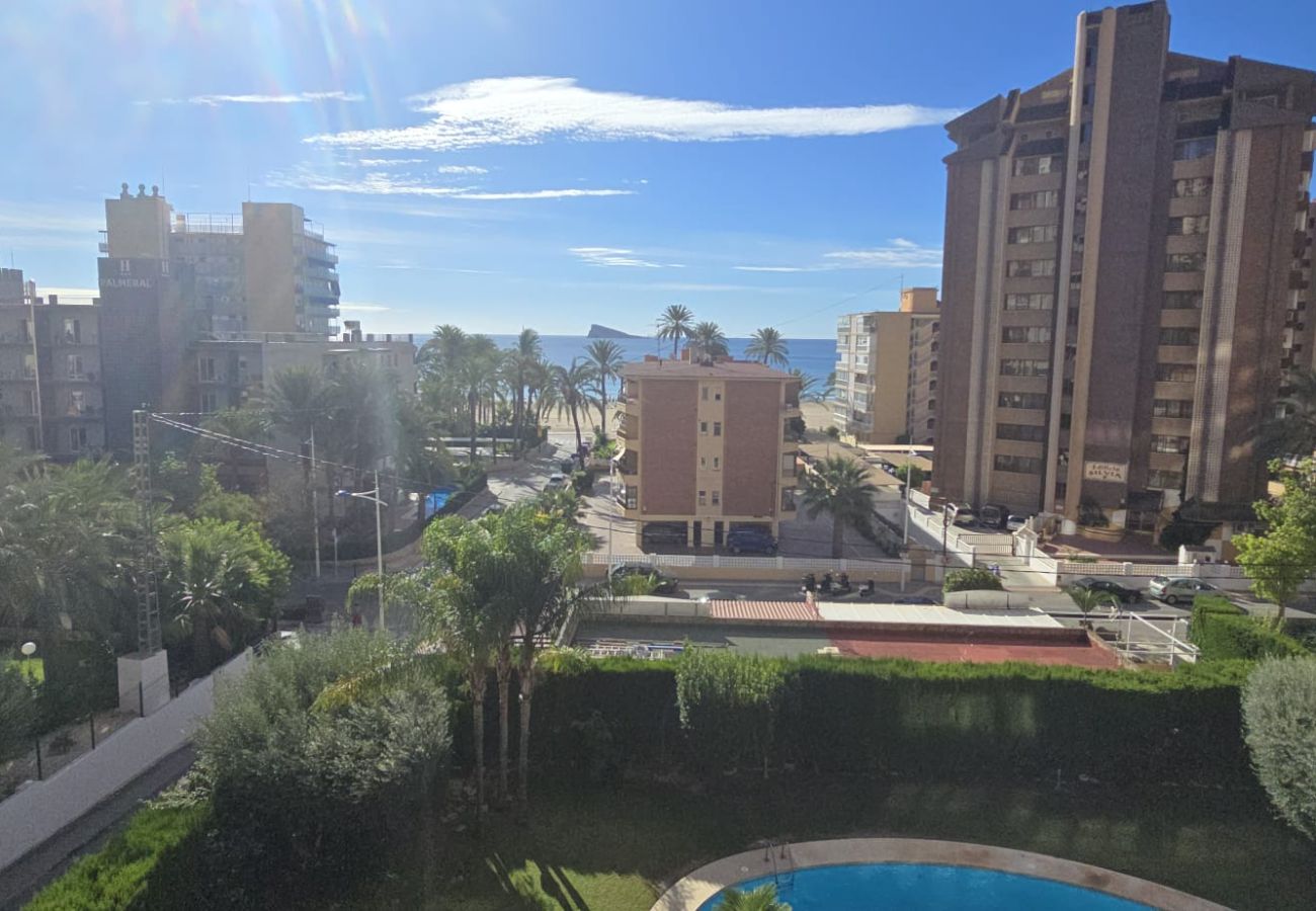 Apartamento en Benidorm - CASTELMAR 1C  (1 DORMITORIO)