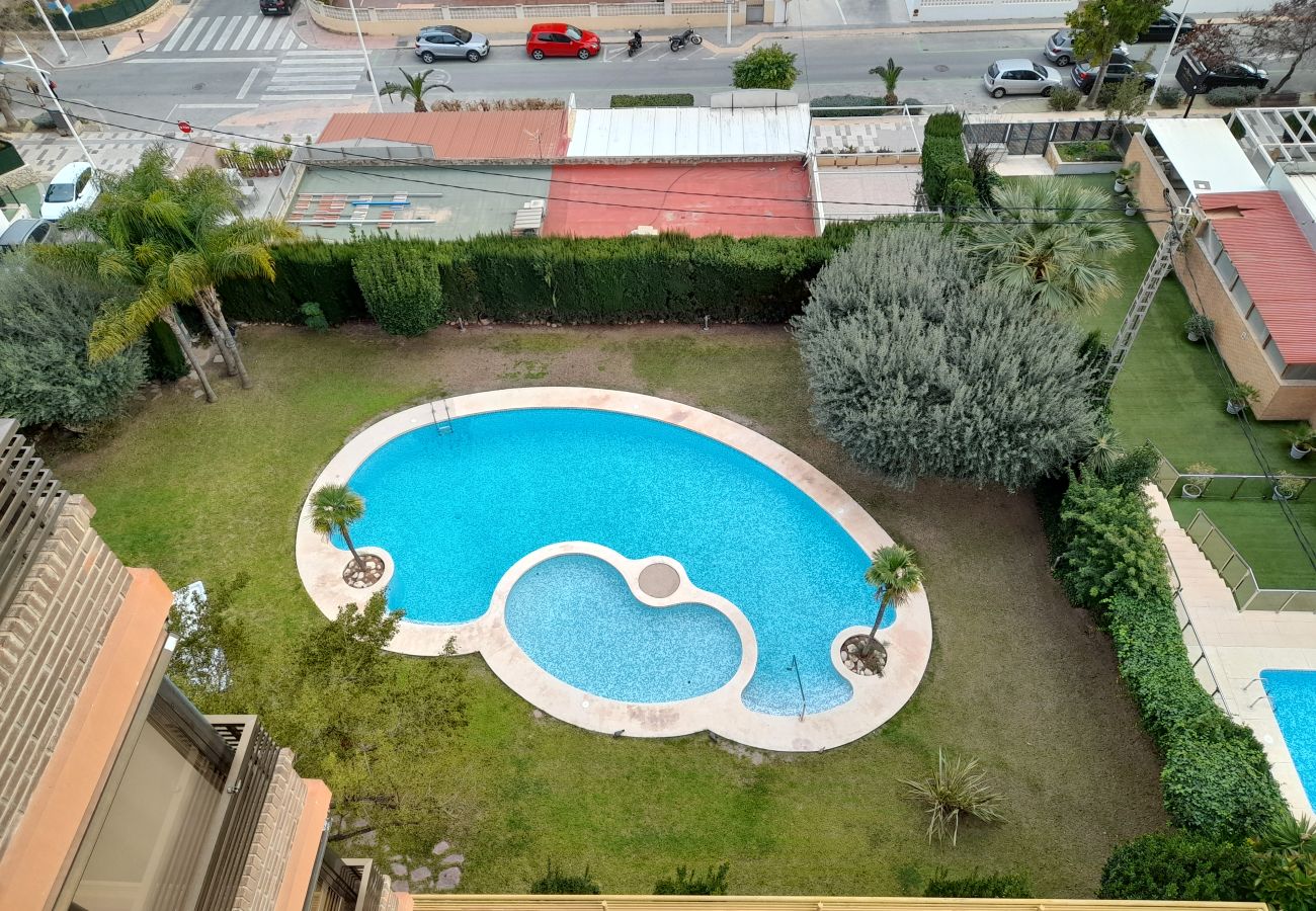 Apartamento en Benidorm - CASTELMAR 1C  (1 DORMITORIO)