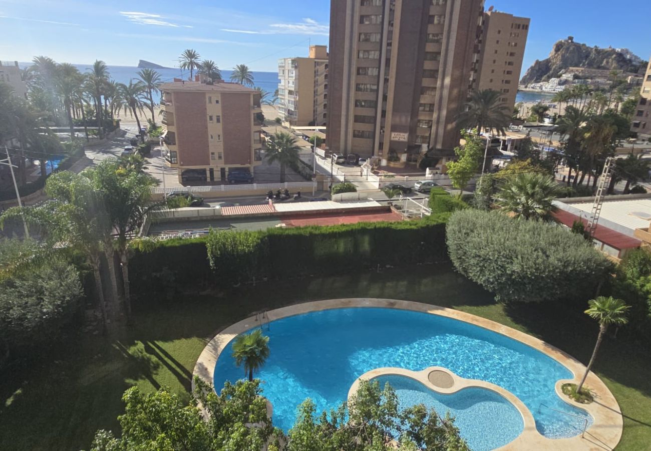 Apartamento en Benidorm - CASTELMAR 1C  (1 DORMITORIO)