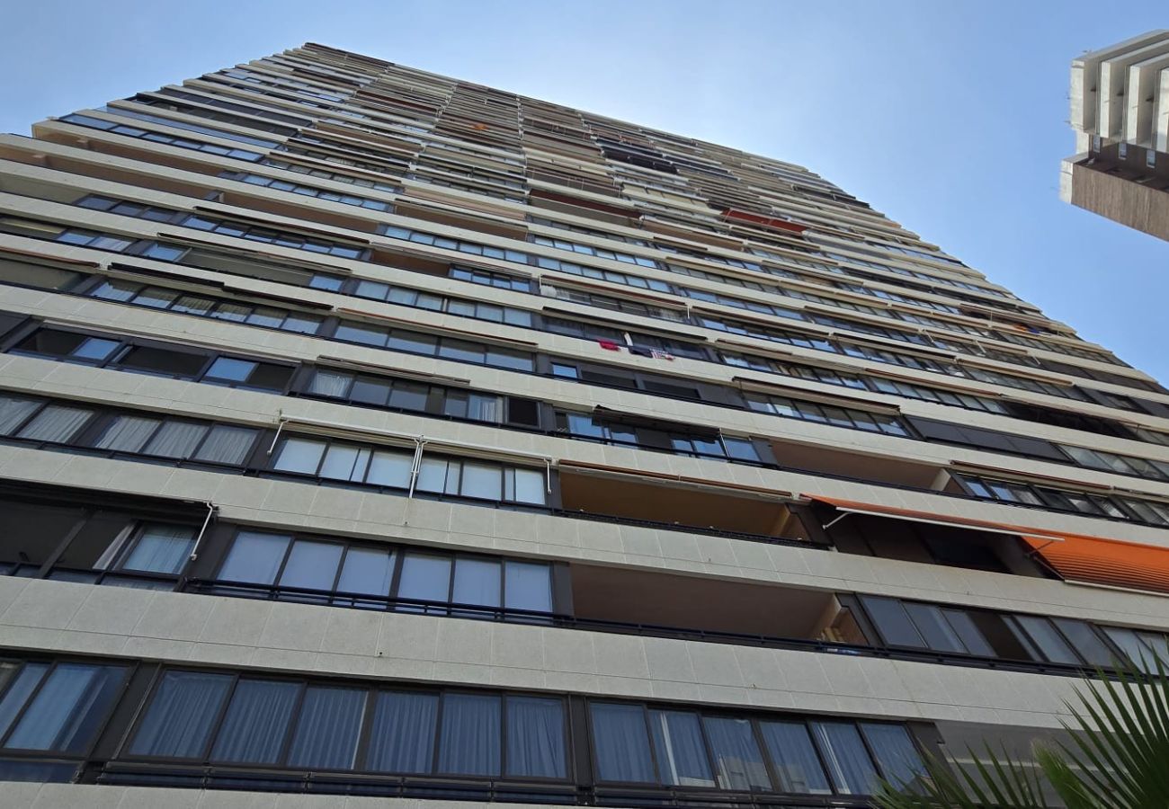 Apartamento en Benidorm - TRINISOL 2 (1 DORMITORIO)