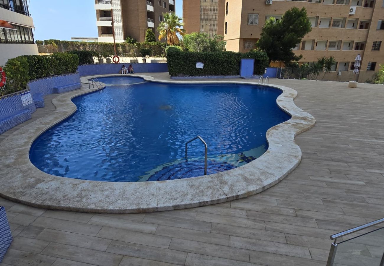 Apartamento en Benidorm - TRINISOL 2 (1 DORMITORIO)