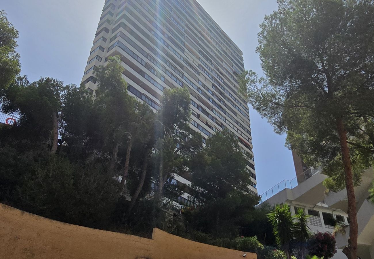 Apartamento en Benidorm - TRINISOL 2 (1 DORMITORIO)