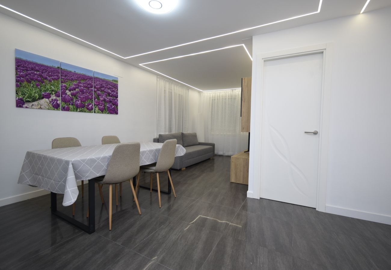 Apartamento en Benidorm - SAN FRANCISCO 14B1 (1  DORMITORIO)