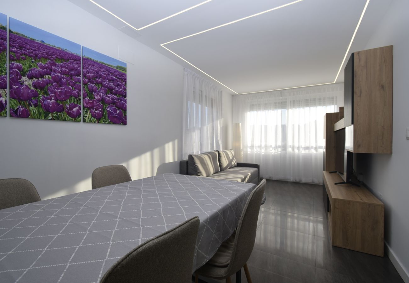 Apartamento en Benidorm - SAN FRANCISCO 14B1 (1  DORMITORIO)