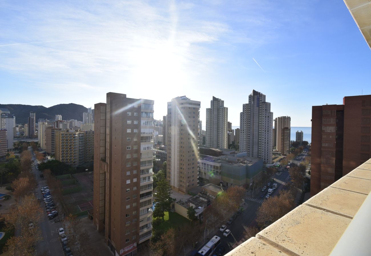 Apartamento en Benidorm - SAN FRANCISCO 14B1 (1  DORMITORIO)