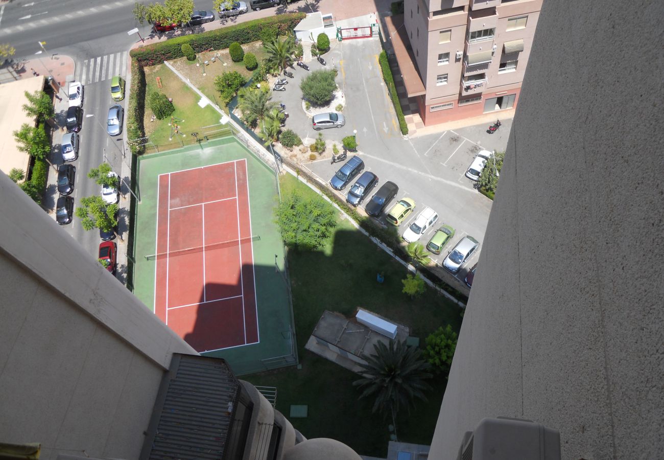 Apartamento en Benidorm - SAN FRANCISCO 14B1 (1  DORMITORIO)