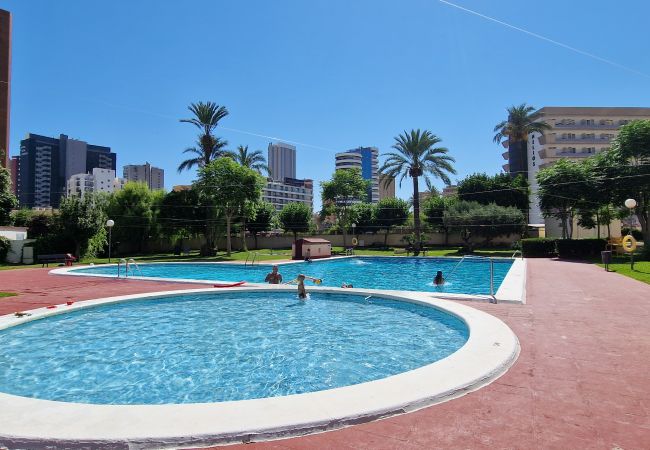 Apartamento en Benidorm - LIDERSOL 14G2 (2 DORMITORIOS)