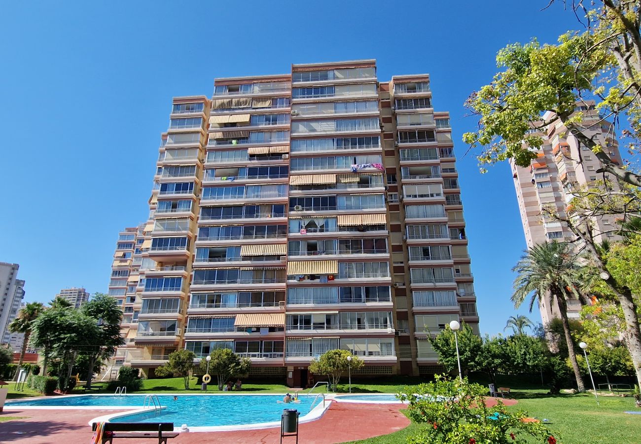 Apartamento en Benidorm - LIDERSOL 14G2 (2 DORMITORIOS)