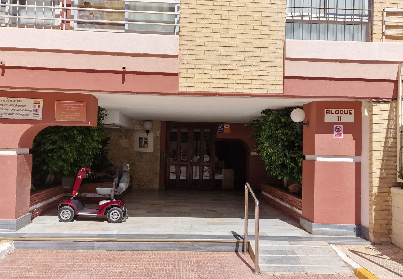 Apartamento en Benidorm - LIDERSOL 14G2 (2 DORMITORIOS)