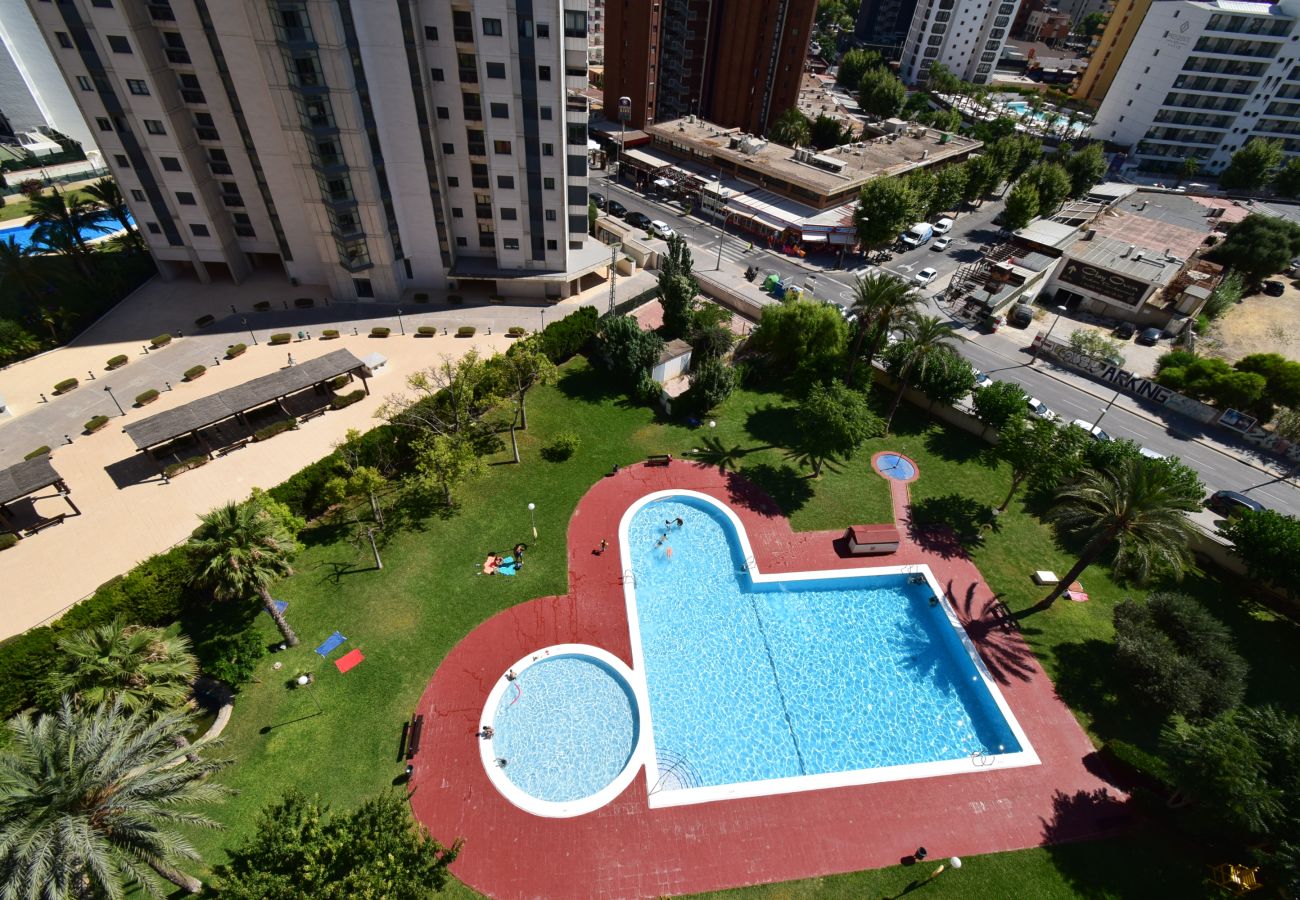 Apartamento en Benidorm - LIDERSOL 14G2 (2 DORMITORIOS)