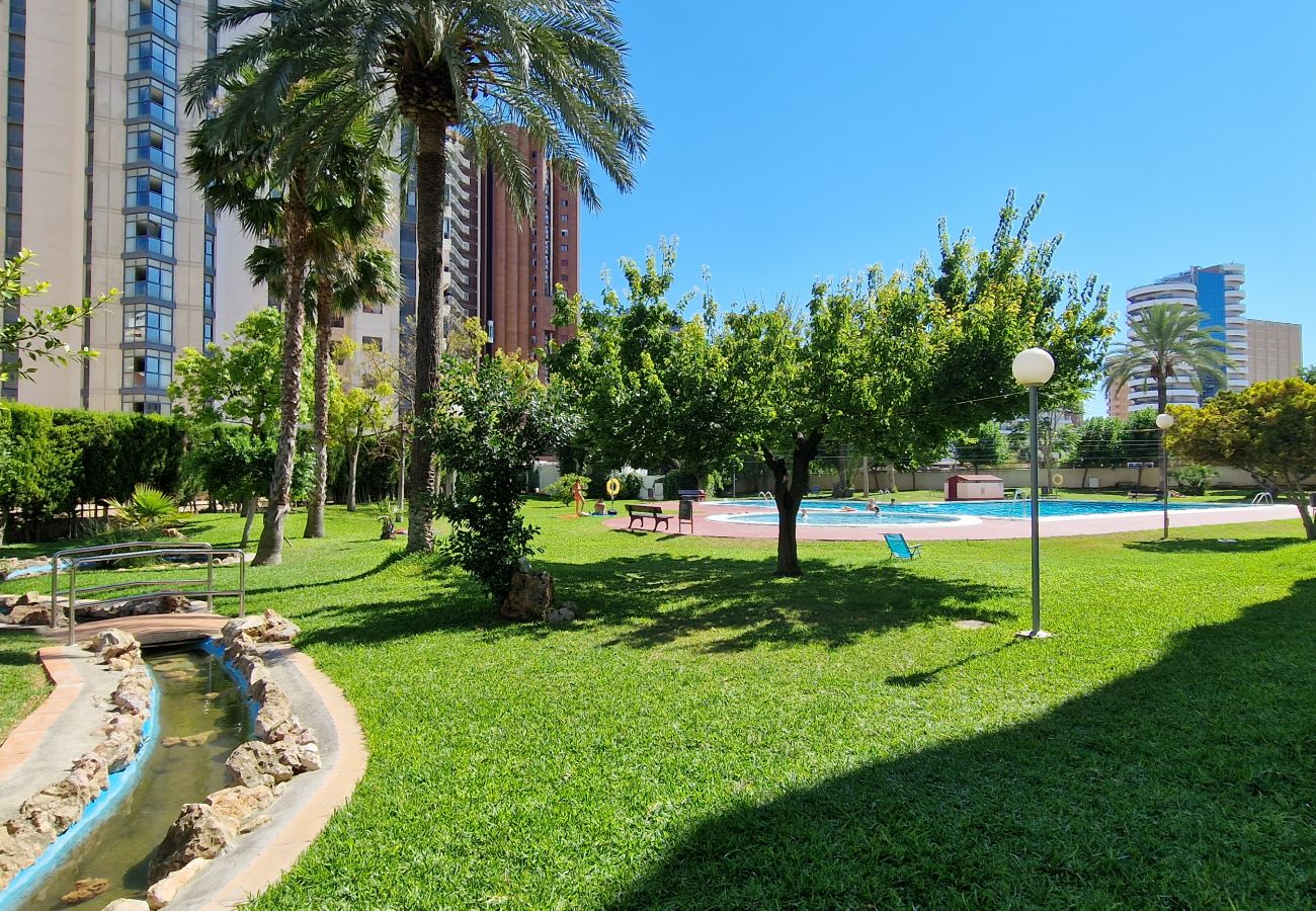 Apartamento en Benidorm - LIDERSOL 14G2 (2 DORMITORIOS)