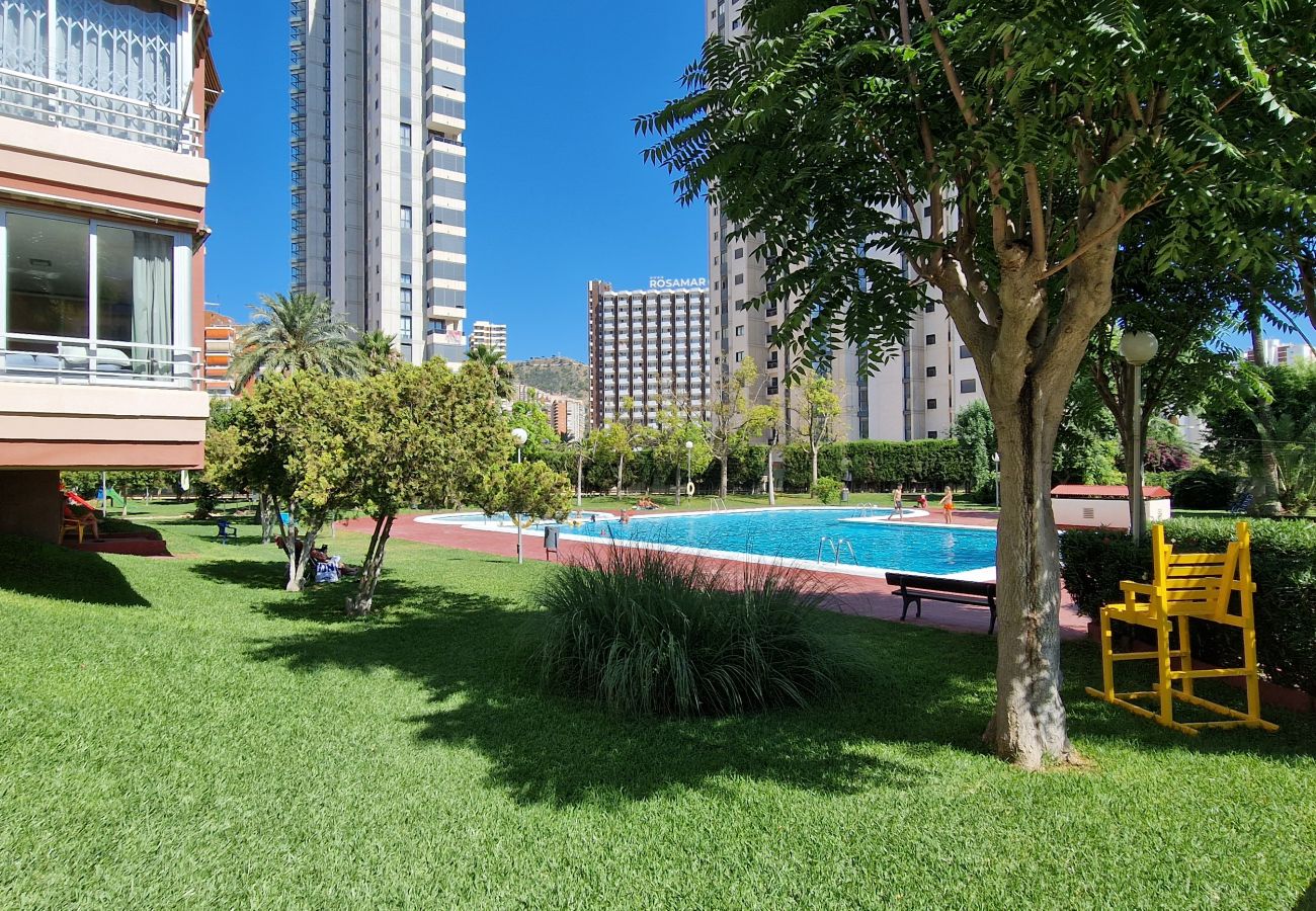 Apartamento en Benidorm - LIDERSOL 14G2 (2 DORMITORIOS)